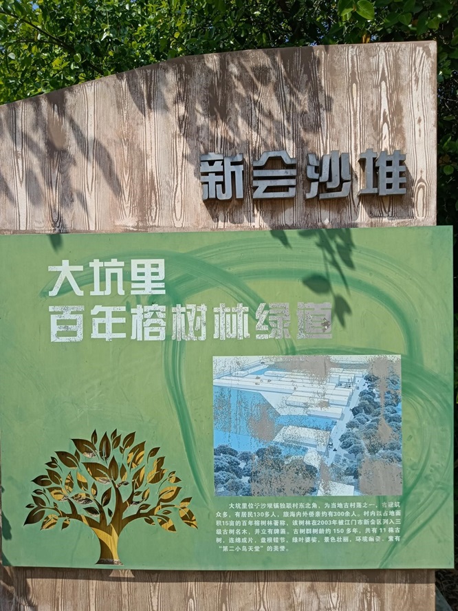 新会侨乡美景：榕林绿道醉游人第3张