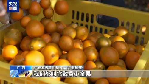 累计成交额近500亿元！“832平台”帮脱贫地区“土特产”走进千家万户第5张