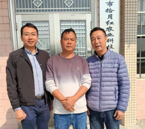广东省科学院检测报告显示：恩平陈皮品质比肩新会陈皮第1张