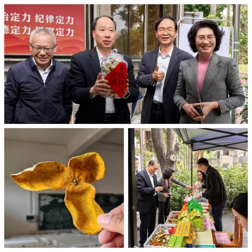 广东省科学院检测报告显示：恩平陈皮品质比肩新会陈皮第2张
