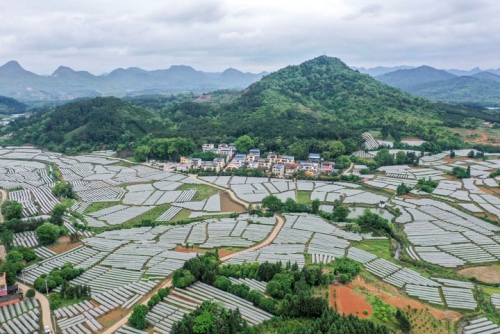 全州：探寻独特风土人情，感受传统文化魅力第1张