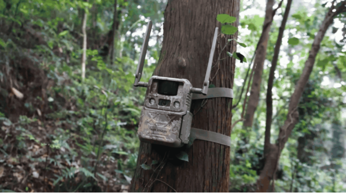 海康威视在峨眉山，“智”护世界文化与自然双遗产第6张