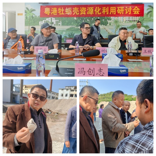 贝凡+贝尤:变废为宝,大湾区蚝壳奏响“点壳成金”绿色协奏曲第2张