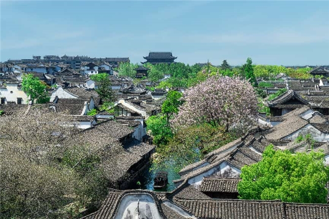 春假亲子游新玩法：带娃去浙江濮院“住进”春天第1张