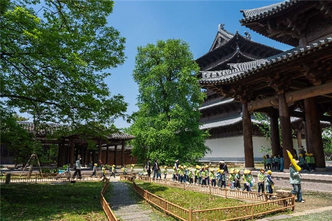 春假亲子游新玩法：带娃去浙江濮院“住进”春天第5张