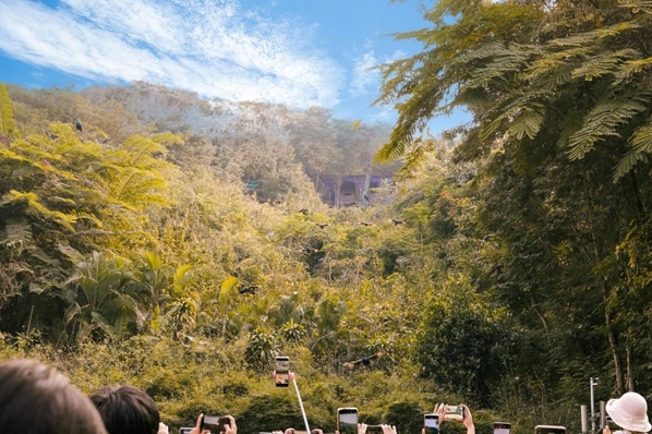 西双版纳落地第一站景区,为什么是它?-勐泐文化旅游区第4张